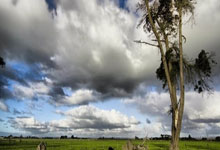 里斯本竞技对阵吉维森特最终比分是多少？这场比赛有哪些关键看点？